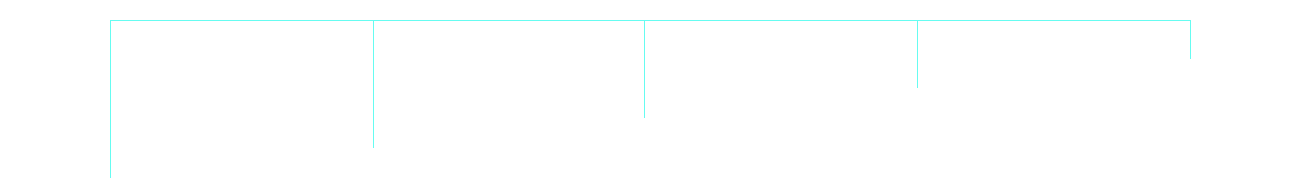 Loyalty Progress Bar